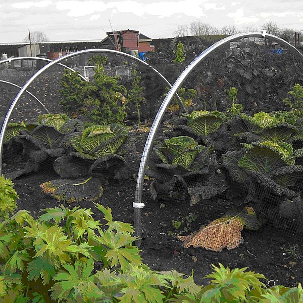 Large Quantities of Aluminium Garden Hoops for Tunnels - Commercial Grower