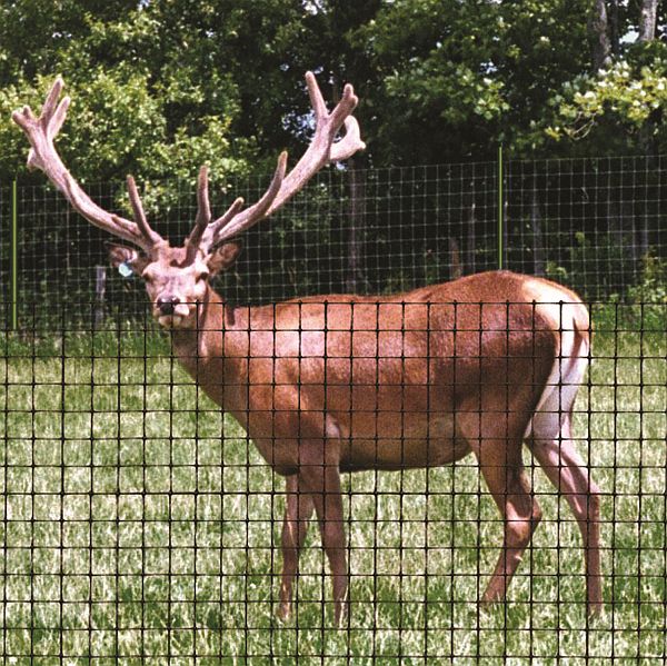 Deer Netting